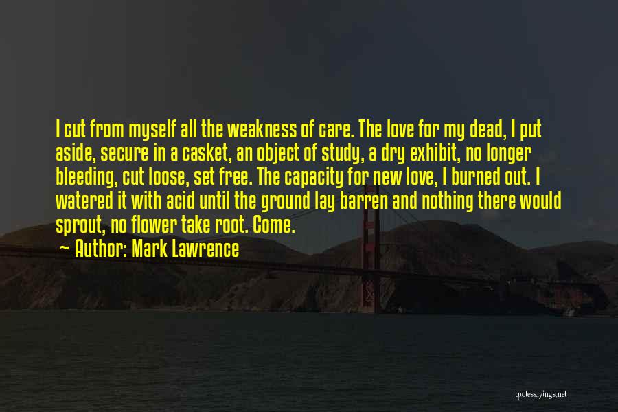 Secure Love Quotes By Mark Lawrence