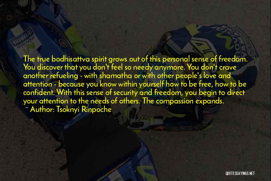 Security And Freedom Quotes By Tsoknyi Rinpoche