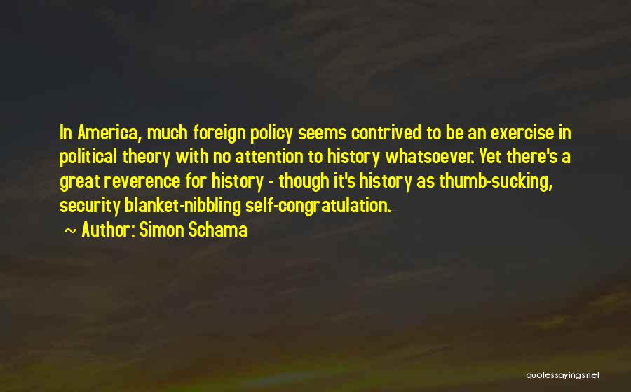 Security Blanket Quotes By Simon Schama