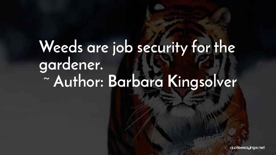Security Job Quotes By Barbara Kingsolver