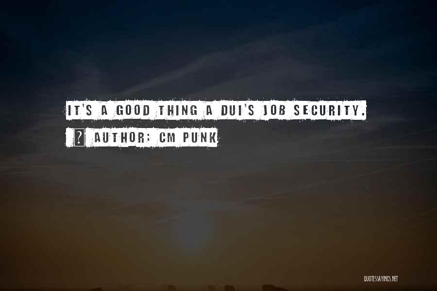 Security Job Quotes By CM Punk