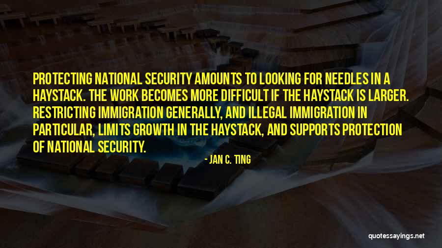 Security Protection Quotes By Jan C. Ting Security Protection Quotes By Jan C. Ting
