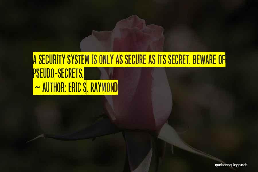 Security Systems Quotes By Eric S. Raymond