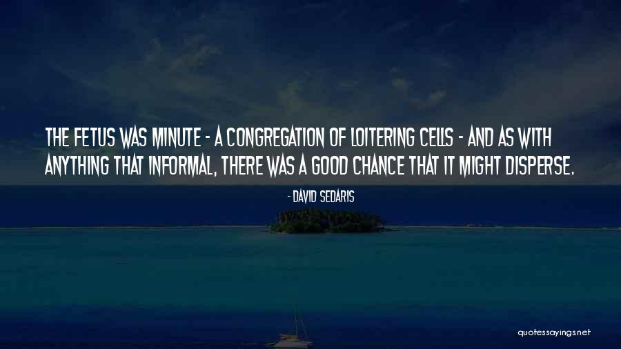 Sedaris Quotes By David Sedaris Sedaris Quotes By David Sedaris
