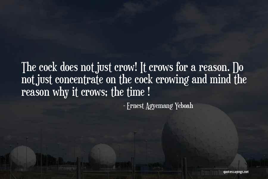 Seddigheh A Feisee Quotes By Ernest Agyemang Yeboah Seddigheh A Feisee Quotes By Ernest Agyemang Yeboah