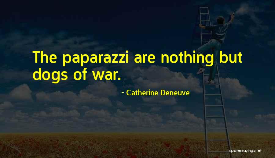 Seddons Solicitors Quotes By Catherine Deneuve Seddons Solicitors Quotes By Catherine Deneuve