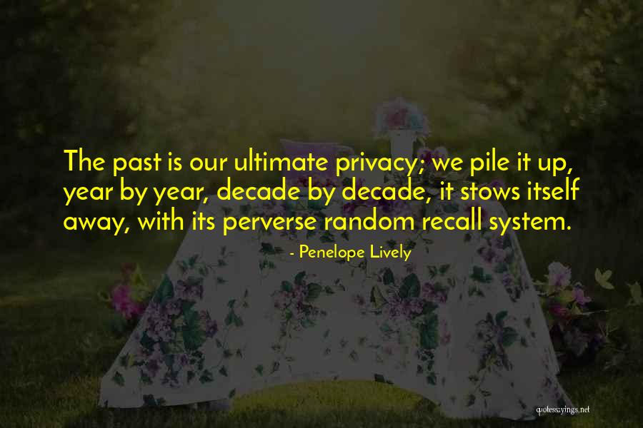 Sedersi Chair Quotes By Penelope Lively Sedersi Chair Quotes By Penelope Lively