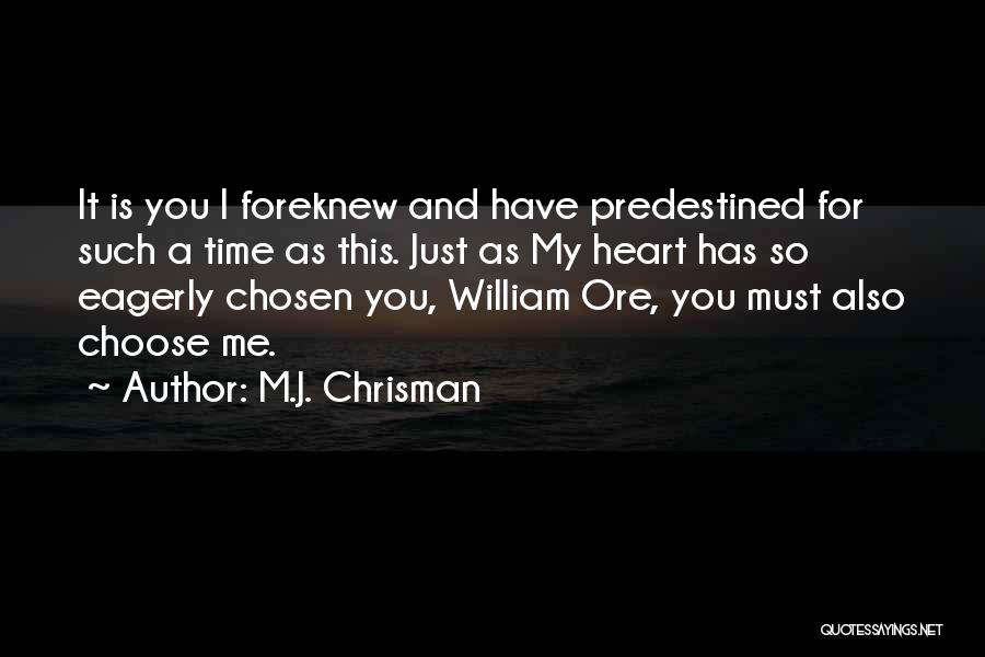 Seduces Repairman Quotes By M.J. Chrisman