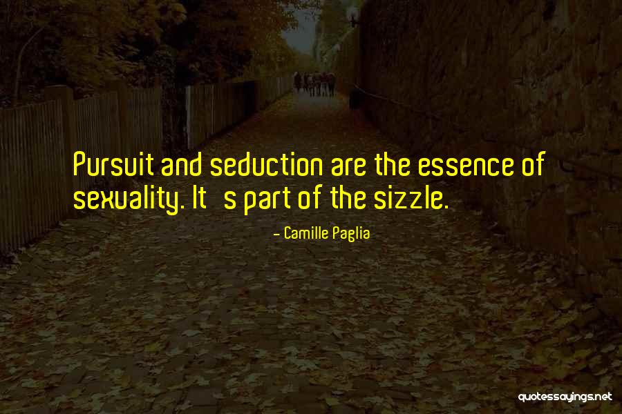 Seduction Quotes By Camille Paglia