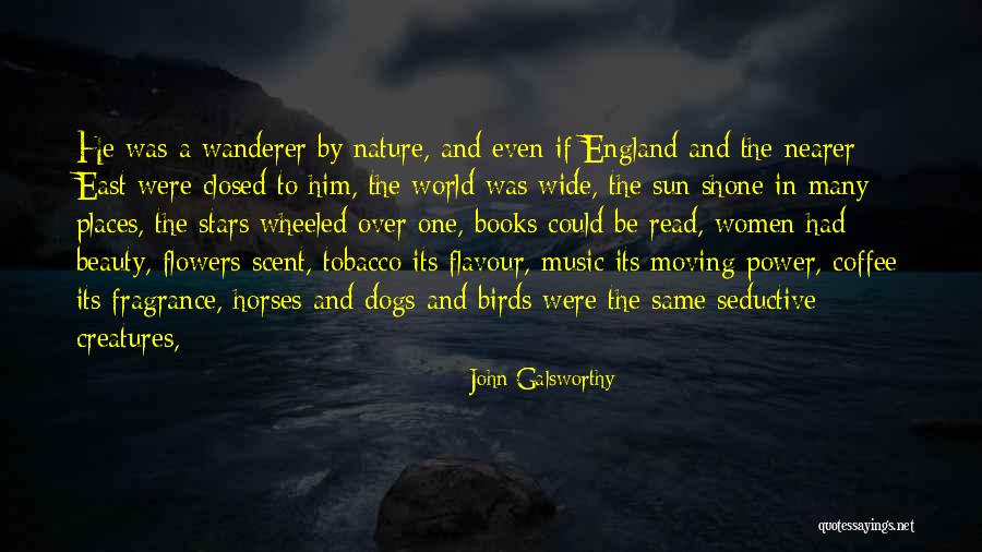 Seductive Beauty Quotes By John Galsworthy Seductive Beauty Quotes By John Galsworthy
