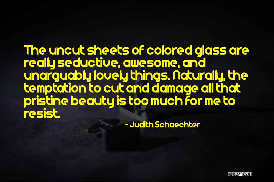 Seductive Beauty Quotes By Judith Schaechter Seductive Beauty Quotes By Judith Schaechter