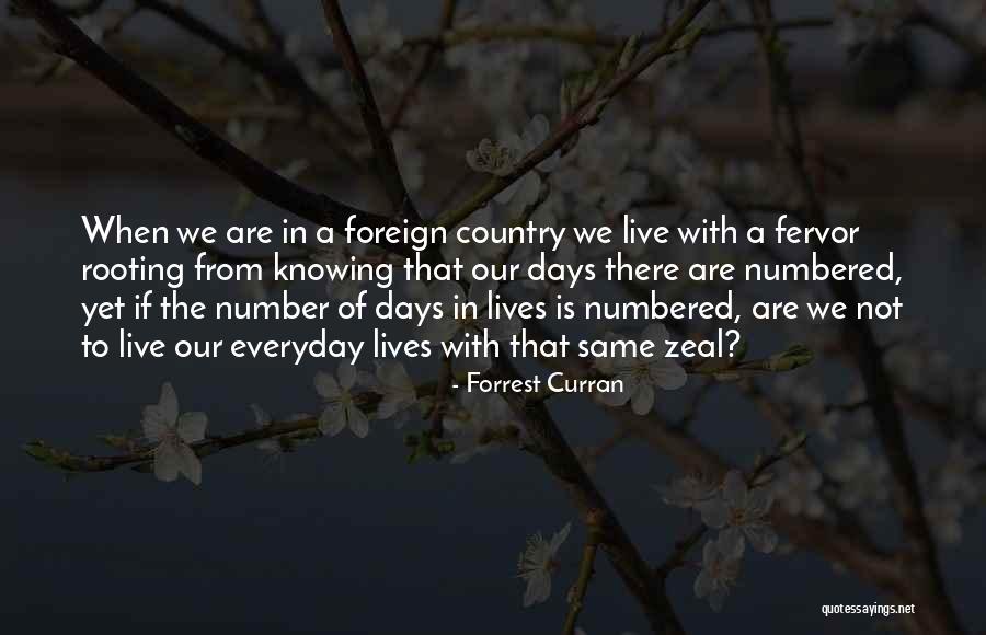 Sedum Cape Quotes By Forrest Curran Sedum Cape Quotes By Forrest Curran