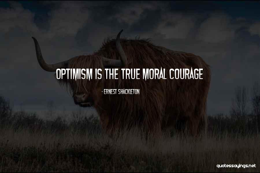 Seduta Spiritica Quotes By Ernest Shackleton