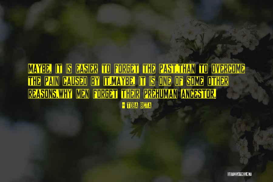 Seduzir Mulher Quotes By Toba Beta Seduzir Mulher Quotes By Toba Beta