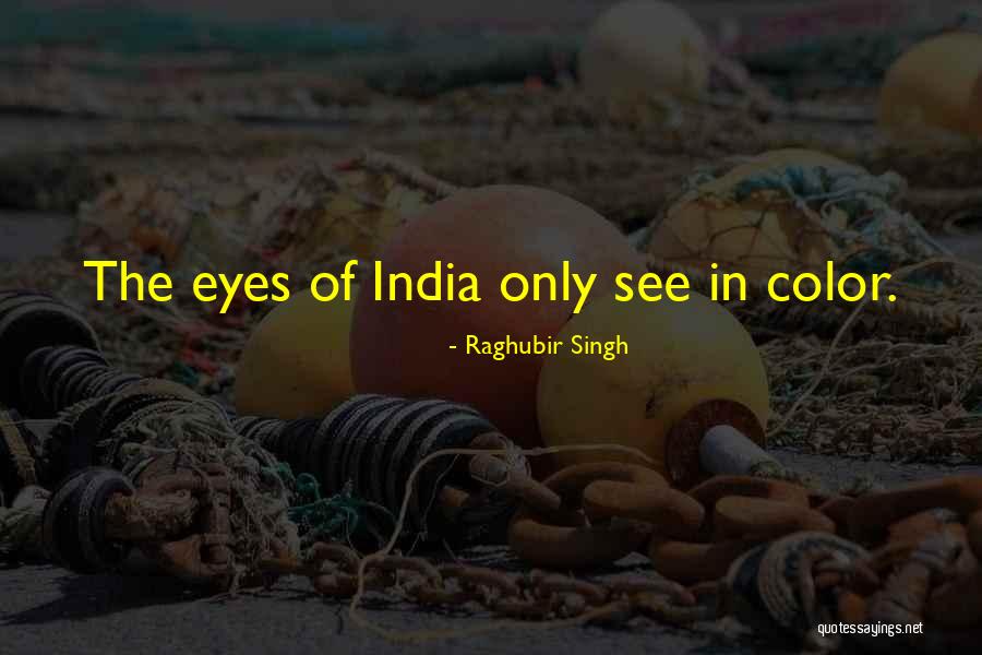 See In Color Quotes By Raghubir Singh