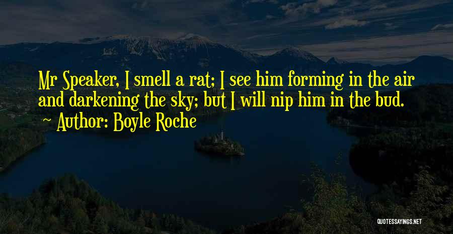 See In The Sky Quotes By Boyle Roche