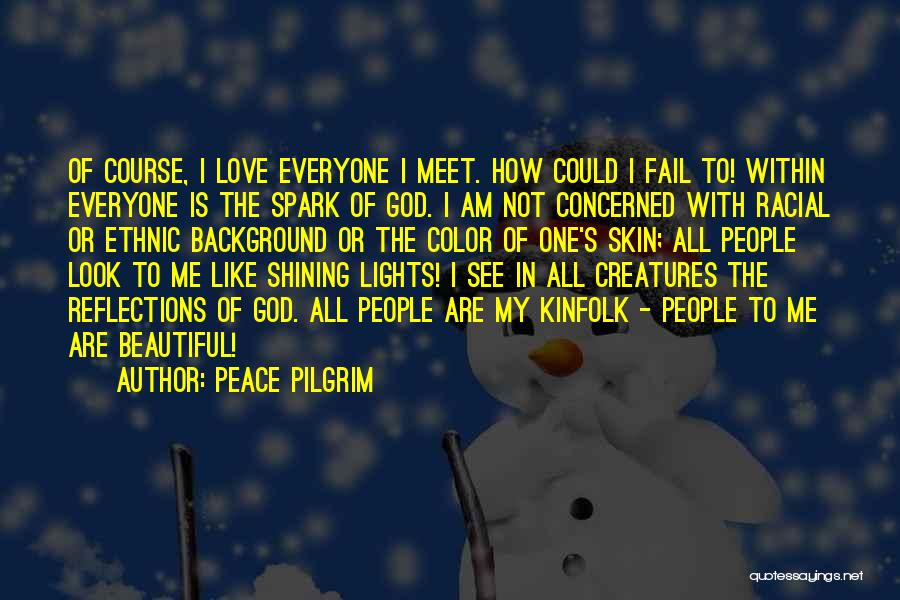 See Me Fail Quotes By Peace Pilgrim