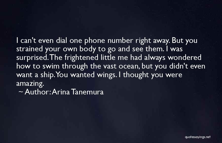 See Right Through Me Quotes By Arina Tanemura