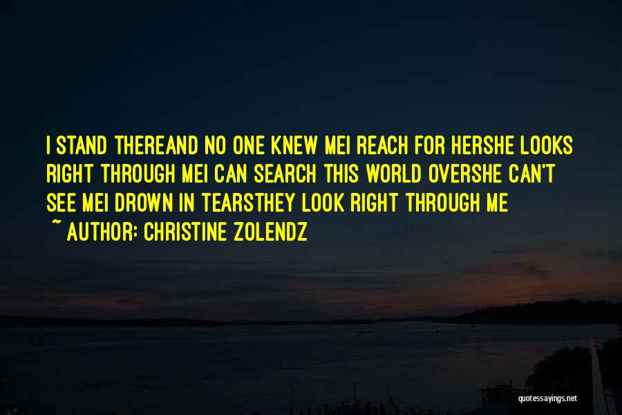 See Right Through Me Quotes By Christine Zolendz