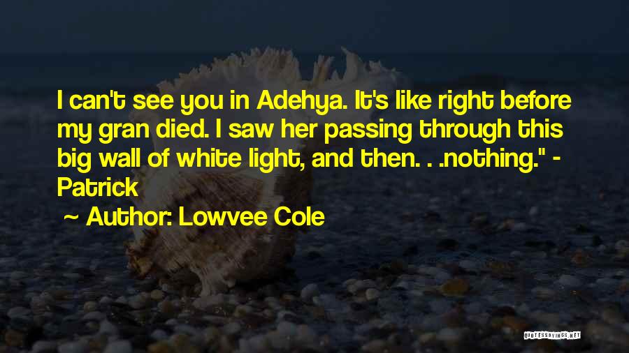 See Right Through You Quotes By Lowvee Cole