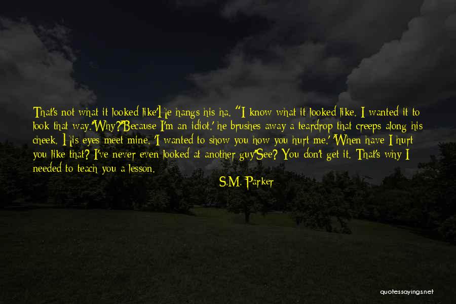 See The Hurt In Her Eyes Quotes By S.M. Parker