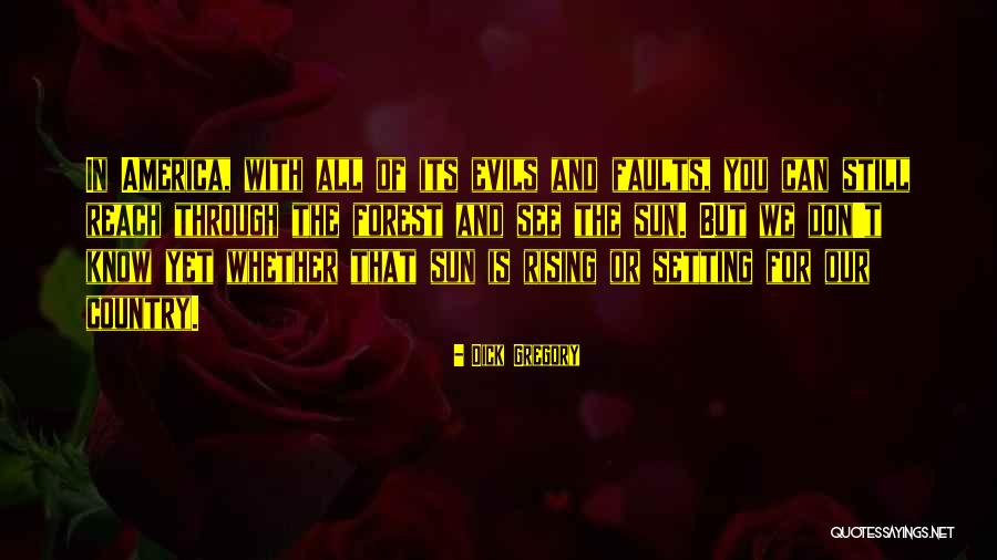 See The Sun Quotes By Dick Gregory See The Sun Quotes By Dick Gregory