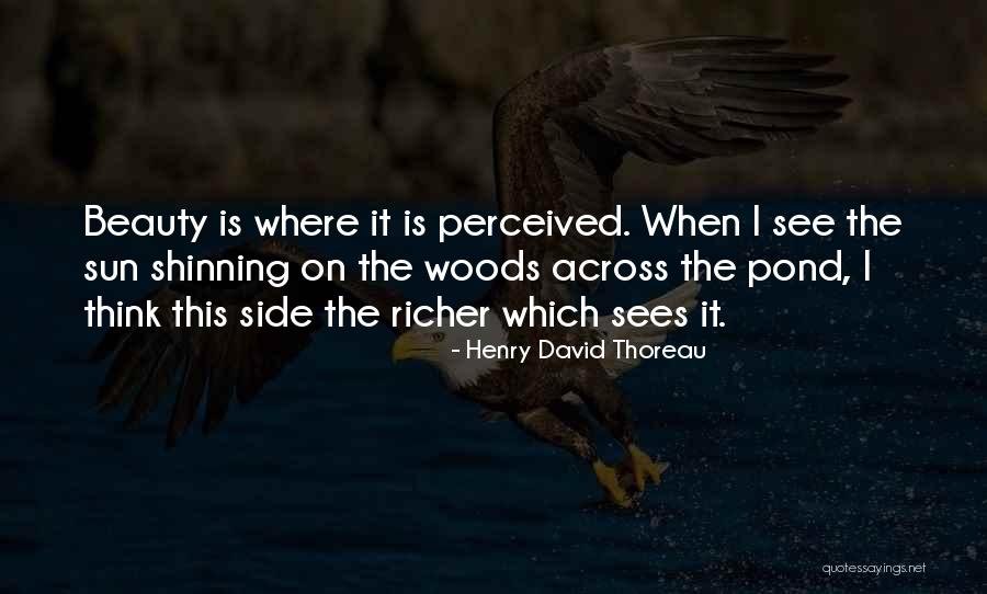 See The Sun Quotes By Henry David Thoreau See The Sun Quotes By Henry David Thoreau