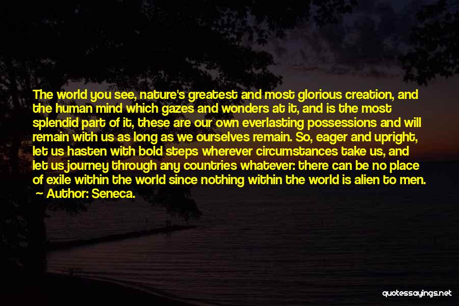See The World Through Quotes By Seneca.