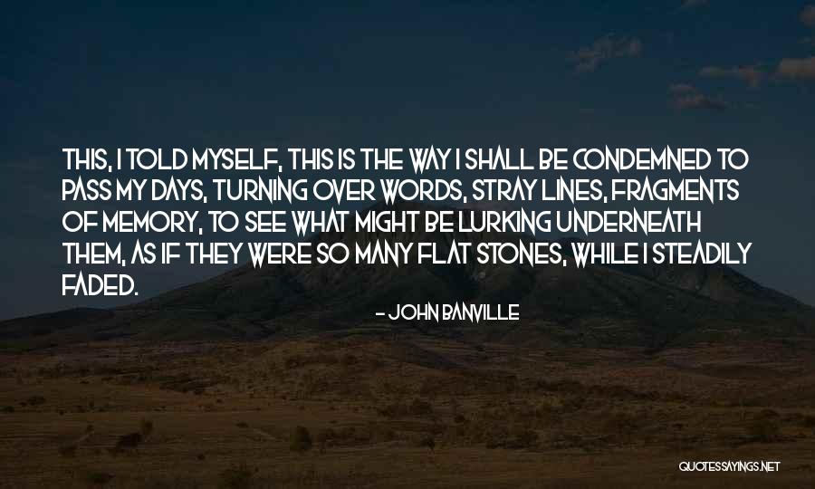 See They Quotes By John Banville See They Quotes By John Banville