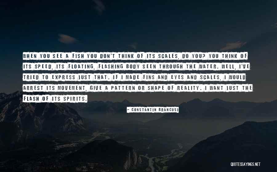 See Things Through My Eyes Quotes By Constantin Brancusi See Things Through My Eyes Quotes By Constantin Brancusi