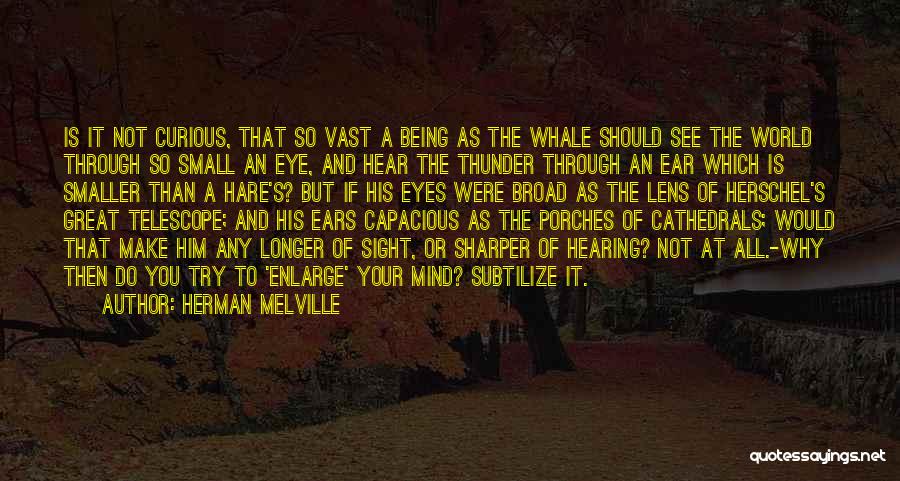 See Through Lens Quotes By Herman Melville