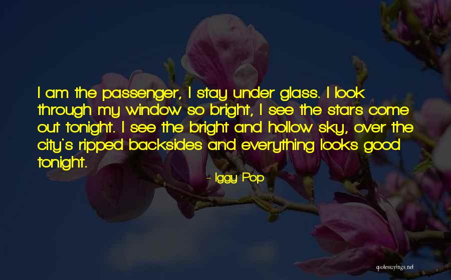 See Through Window Quotes By Iggy Pop