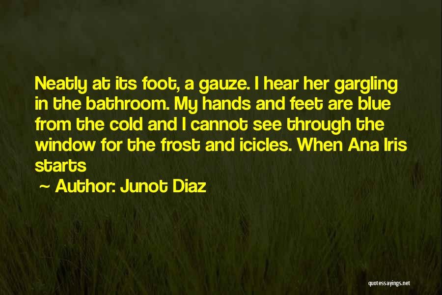 See Through Window Quotes By Junot Diaz