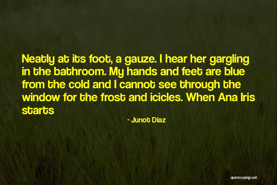 See Through Window Quotes By Junot Diaz