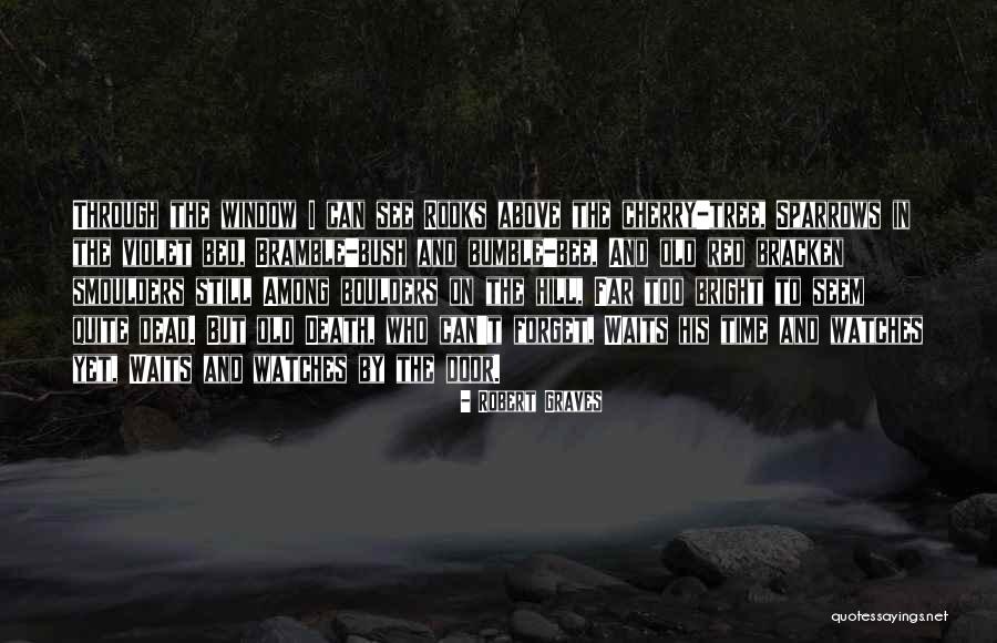 See Through Window Quotes By Robert Graves See Through Window Quotes By Robert Graves
