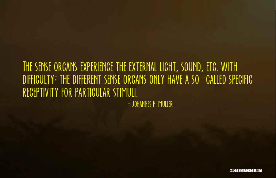 See Whats In Front Of You Quotes By Johannes P. Muller See Whats In Front Of You Quotes By Johannes P. Muller