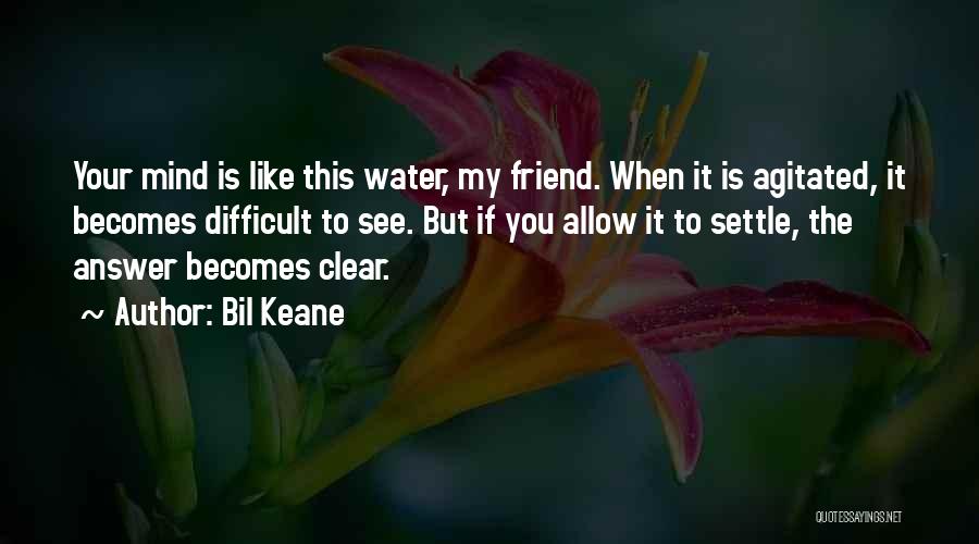 See You My Friend Quotes By Bil Keane