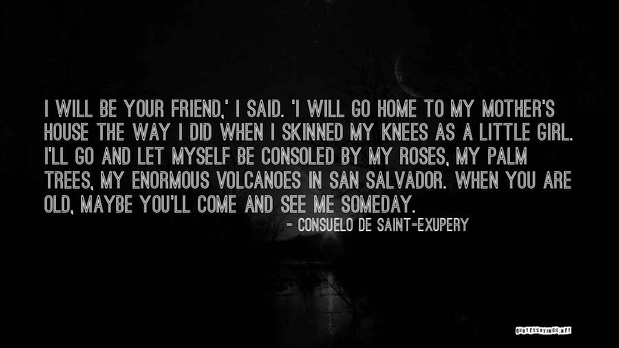 See You My Friend Quotes By Consuelo De Saint-Exupery