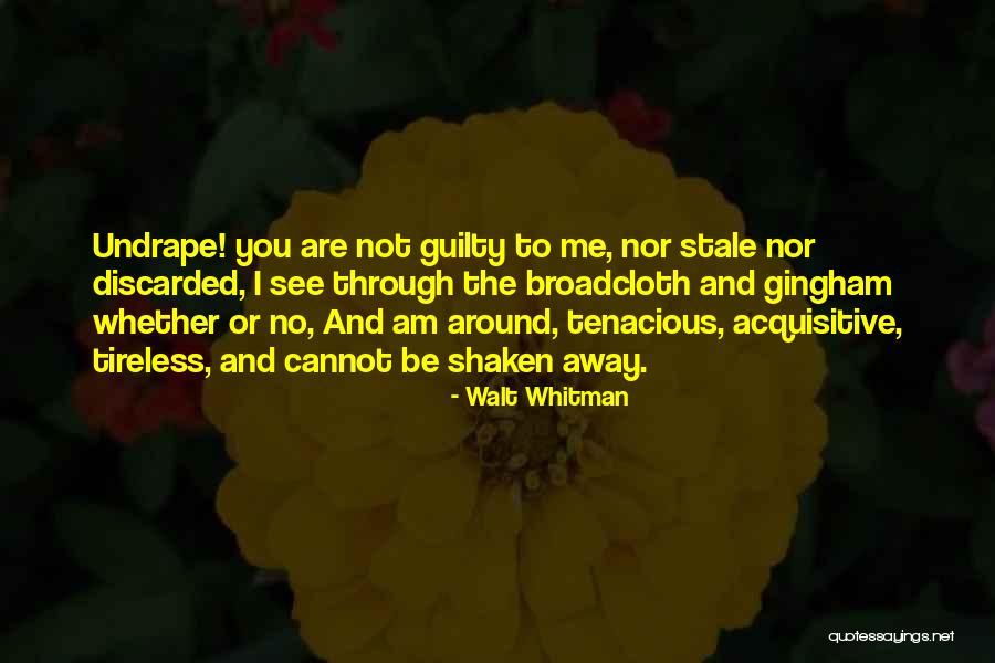 See You Through Quotes By Walt Whitman See You Through Quotes By Walt Whitman
