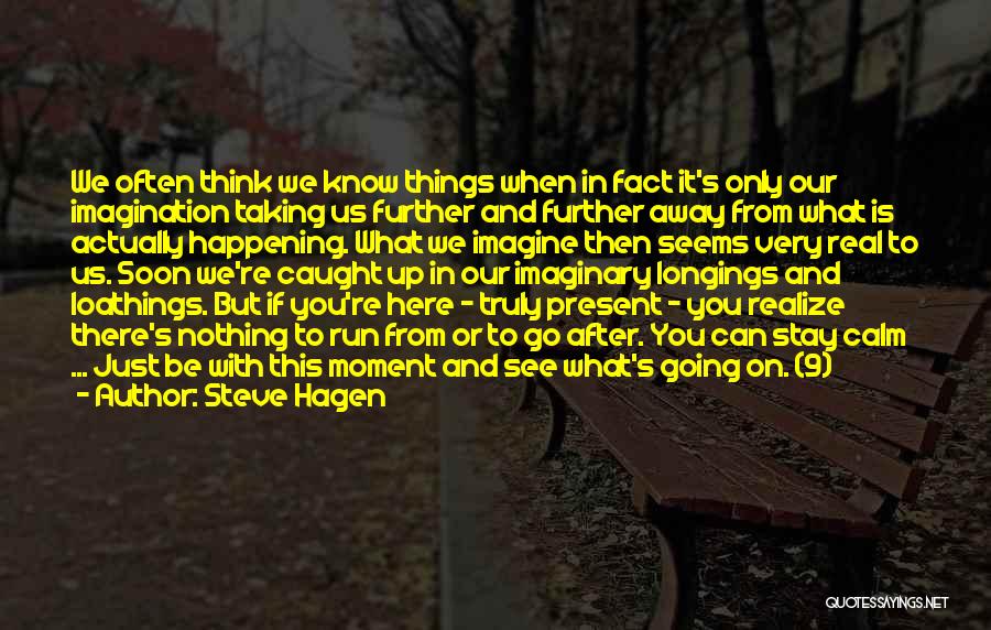 See You Very Soon Quotes By Steve Hagen