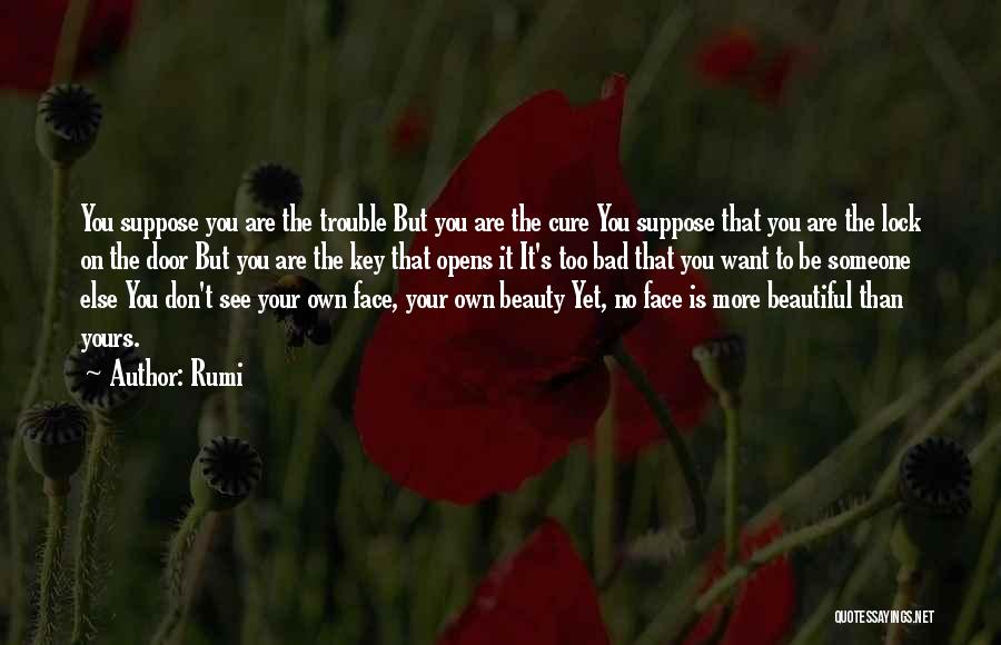 See Your Own Beauty Quotes By Rumi