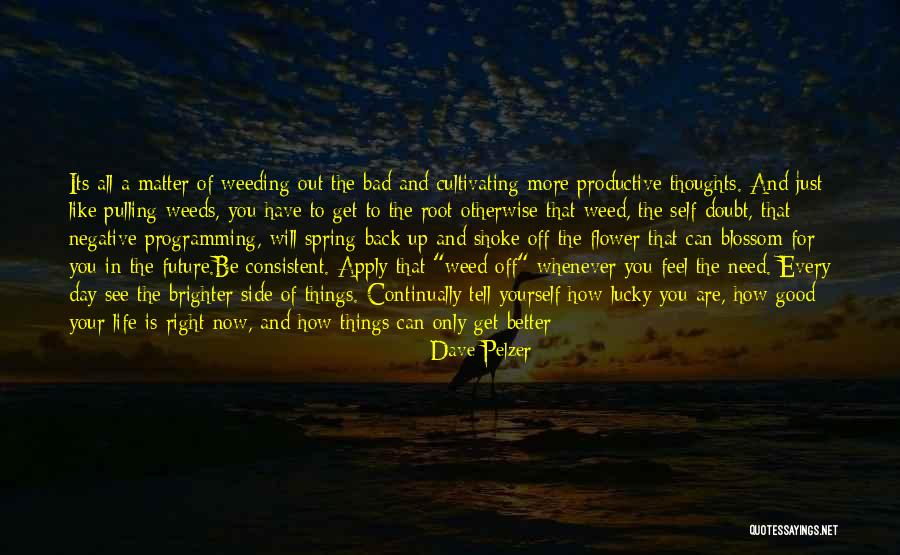 See Yourself In The Future Quotes By Dave Pelzer