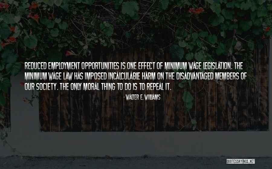 Seebach And Company Quotes By Walter E. Williams Seebach And Company Quotes By Walter E. Williams