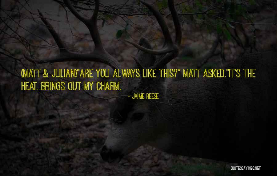 Seebold Racing Quotes By Jaime Reese Seebold Racing Quotes By Jaime Reese