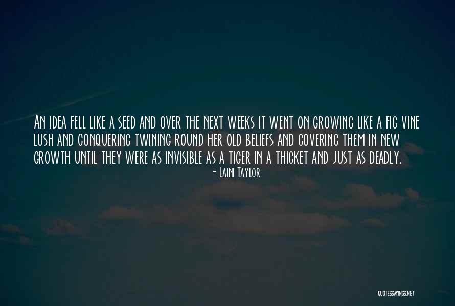 Seed And Growth Quotes By Laini Taylor Seed And Growth Quotes By Laini Taylor