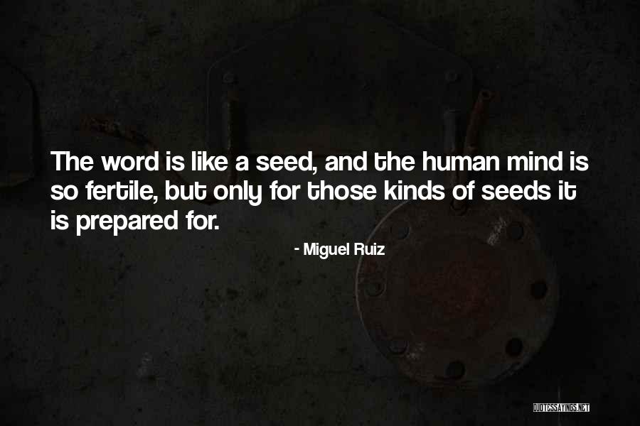 Seed And Growth Quotes By Miguel Ruiz Seed And Growth Quotes By Miguel Ruiz