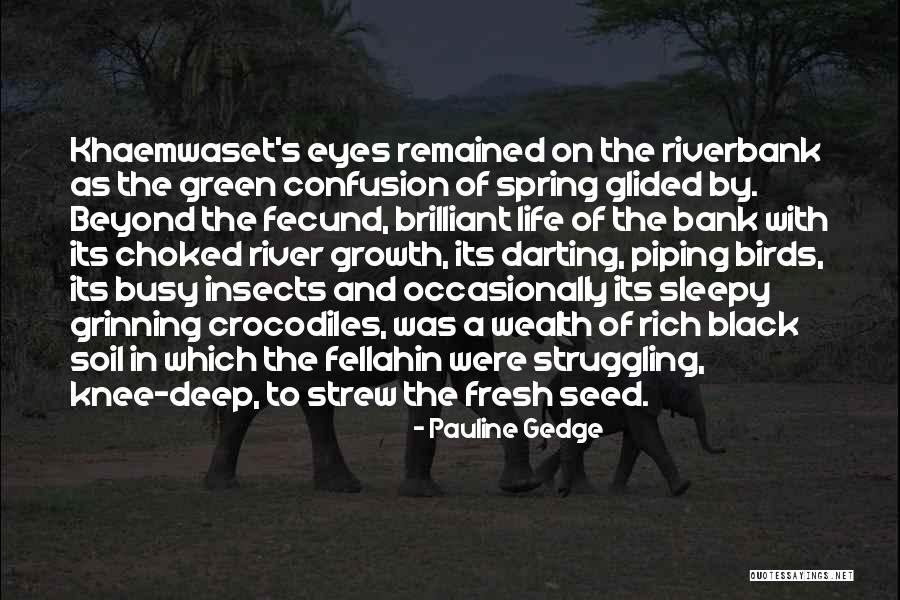 Seed And Growth Quotes By Pauline Gedge Seed And Growth Quotes By Pauline Gedge