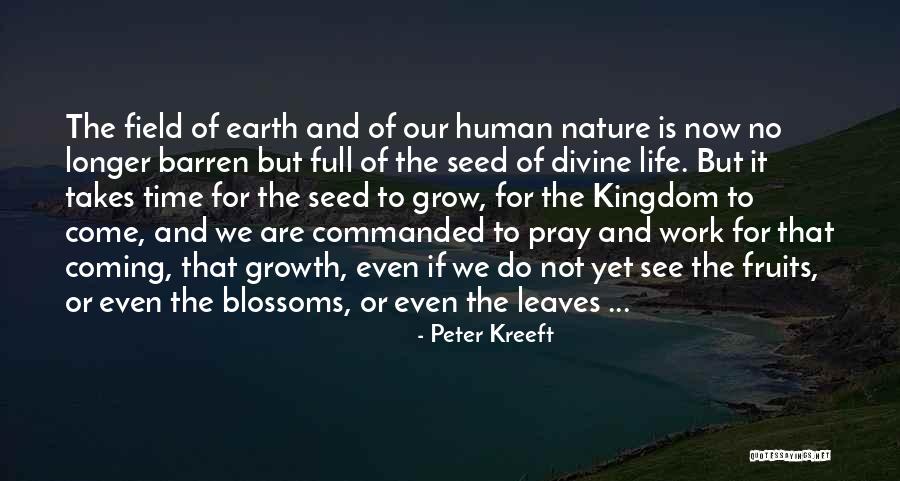 Seed And Growth Quotes By Peter Kreeft Seed And Growth Quotes By Peter Kreeft