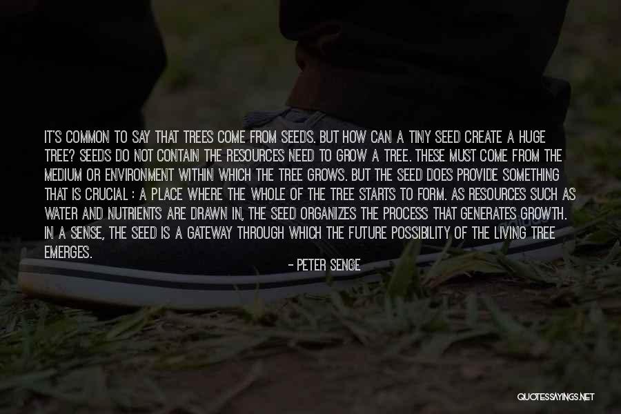 Seed And Growth Quotes By Peter Senge Seed And Growth Quotes By Peter Senge