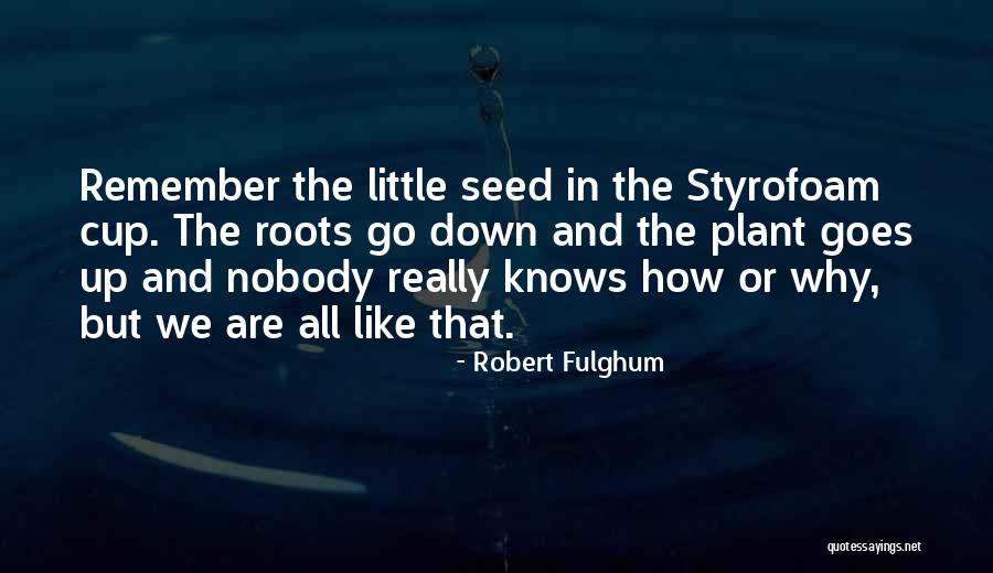 Seed And Growth Quotes By Robert Fulghum Seed And Growth Quotes By Robert Fulghum